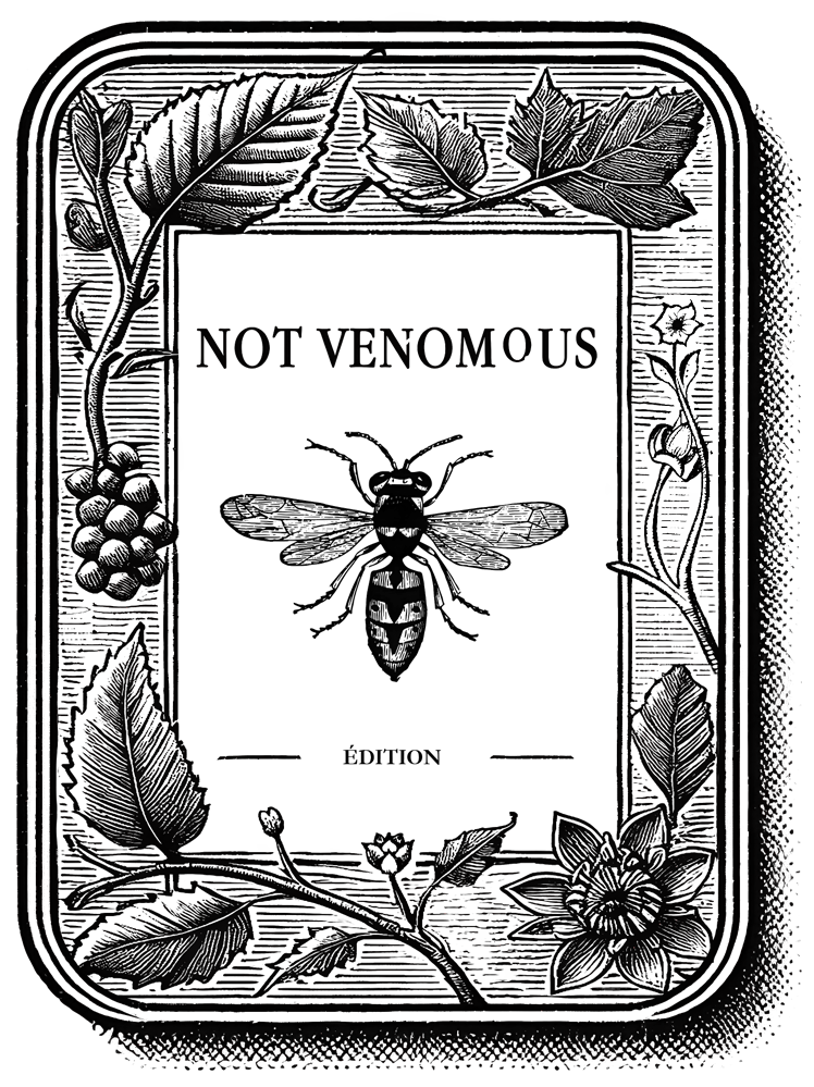 Logo Not Venomous Édition